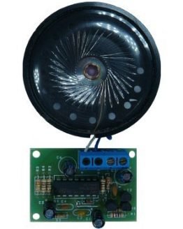 Двутонална сирена HK1020 с двоен таймер LM556 Двутонална сирена HK1020 с двоен таймер LM556