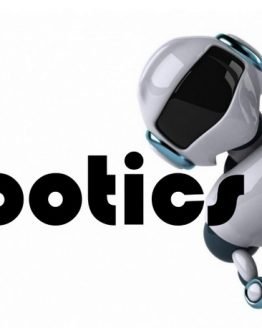 RC Hobby, Роботика